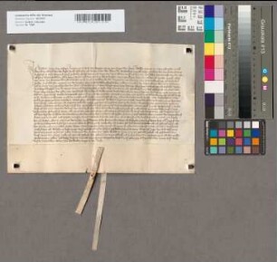 Revers des Wilhelm Vogt von Elspe als resp. Amtmann zu Neuenrade (Roide).