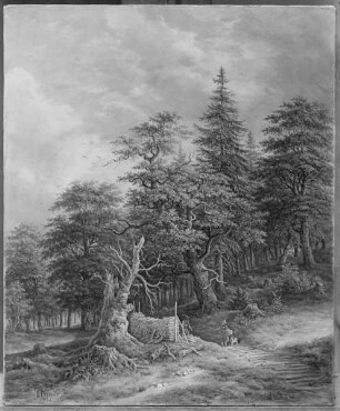 Waldweg mit Wanderern