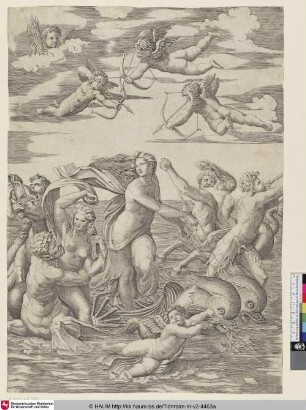 [Galathée; Galatea; Galateia]