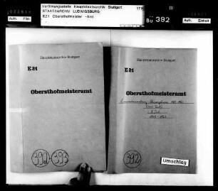 Inventar (II. Teil): Sturz-Ergebnisse