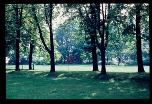 Park Liebermann-Villa 22.8.65.
