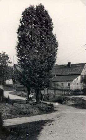 Dorfansicht auf Weißnaußlitz : Wjesny pohlad na Běłe Noslicy