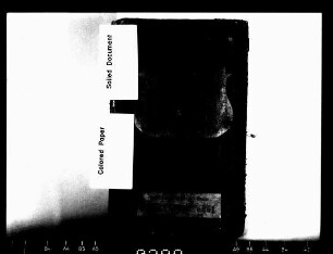 Gerichtshandelsbuch von Wiesa (bei Kamenz)
