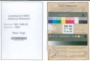 Entnazifizierung Hugo Rave , geb. 01.10.1896 (Angestellter)