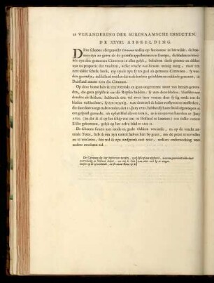 De XXVIII. Afbeelding