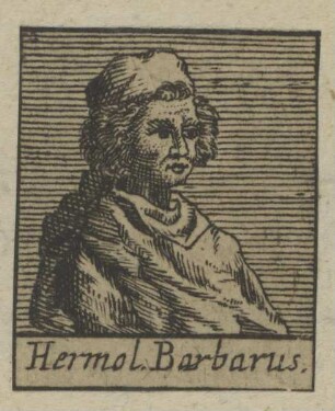 Bildnis des Hermol. Barbarus