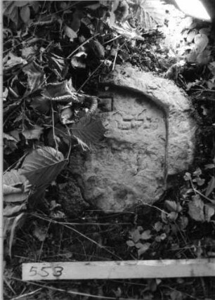 Grabstein 553 (1)