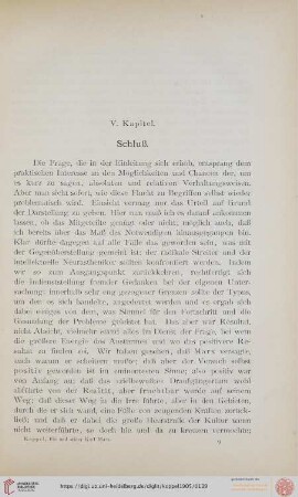 V. Kapitel: Schluß