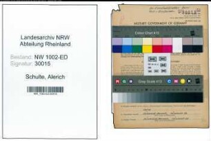 Entnazifizierung Alerich Schulte, geb. 02.04.1888 (Lehrer)