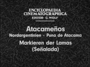 Atacameños (Nordargentinien, Puna de Atacama) - Markieren der Lamas (Señalada)
