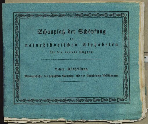 Naturgeschichte des physischen Menschen : mit 167 illuminirten Abbildungen