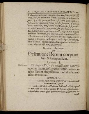 Caput Sextum. De Defensione Rerum corporalium & incoporalium.
