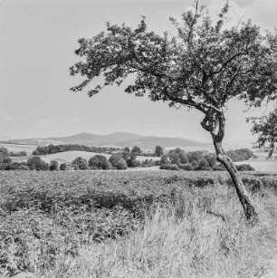 Landschaft Oberlausitz
