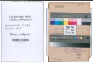 Entnazifizierung Katharina Giesen , geb. 12.01.1904 (Berufsberaterin)
