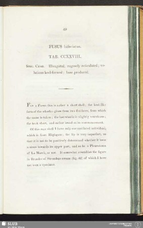 Fusus bifaciatus. Tab. CCXXVIII