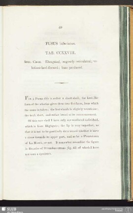 Fusus bifaciatus. Tab. CCXXVIII