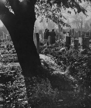 Archivfotografie "motive_friedhoefe_2573"
