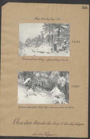 Ammerschweier Vorhof: 1 französ. Krieger Chass. 28
