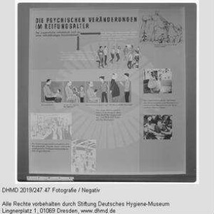Nationale Hygiene-Ausstellung - Raum 14 - "Die psychischen Veränderungen im Reifungsalter"