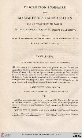 Description sommaire des mammifères carnassiers qui se trouvent en Égypte publiés par Jules-César Savigny [...]