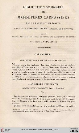 Description sommaire des mammifères carnassiers qui se trouvent en Égypte publiés par Jules-César Savigny [...]