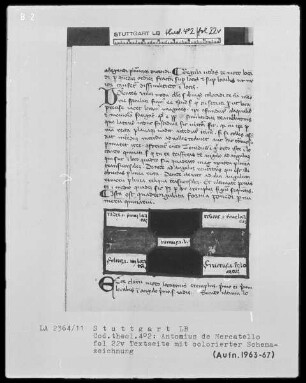 Antonius de Mercatello, Liber de arte memoria cum commentario —