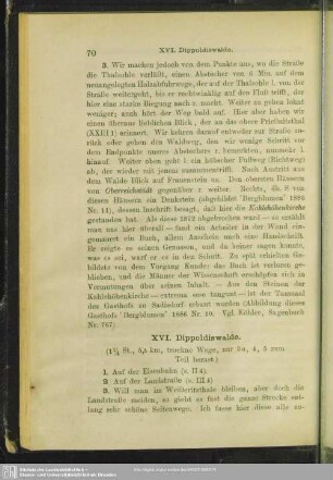 XVI. Dippoldiswalde