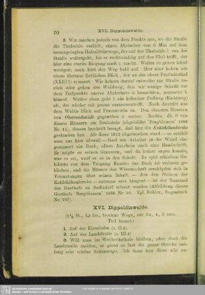 XVI. Dippoldiswalde