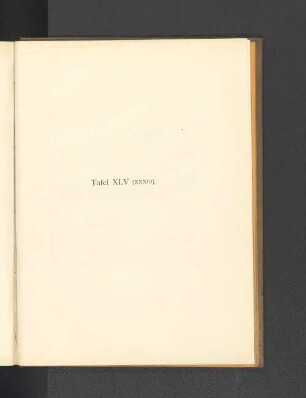 Tafel XLV [XXXIII].