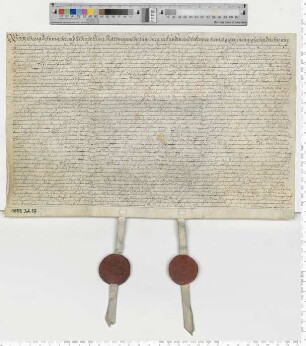 Abteilung der Söhne der Dorothea Semmelbecker, Witwe des Bürgermeisters Georg Schuhmacher.