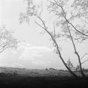 Landschaftsbild. Märkische Landschaft. : Wobraz krajiny. Markowska krajina.
