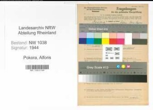 Entnazifizierung Alfons Pokora , geb. 01.11.1901 (Beamter)