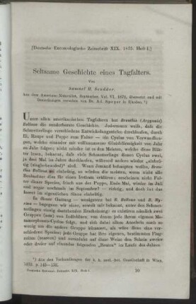 Seltsame Geschichte eines Tagfalters