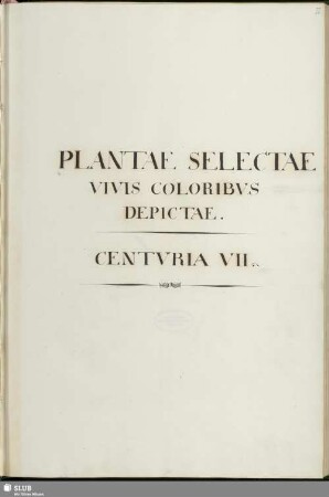 7: Plantae selectae vivis coloribus depictae. Band 7 - Mscr.Dresd.App.3413,Bd.7