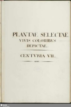 7: Plantae selectae vivis coloribus depictae. Band 7 - Mscr.Dresd.App.3413,Bd.7