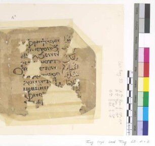[Lectionary] : Fragm. copt. Pischoi Lect. Frag. 23