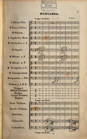 Symphonische Dichtungen für großes Orchester, 9. Hungaria