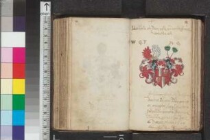 Bünau, Günther von; Blatt 61