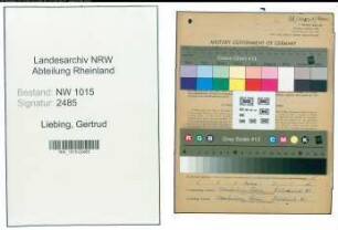 Entnazifizierung Gertrud Liebing , geb. 13.04.1908 (Arbeitsvermittlerin)