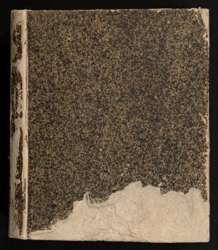 Disputatio Theologica Dogmatico-Polemica Veritas Religionis Christianæ Ex Ipsa Ejus Indole Probata