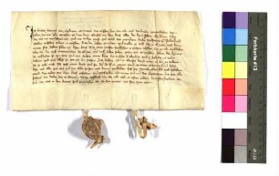 Bruder Heinrich von Zipplingen, Komtur zu Ulm und Donauwörth und die Brüder daselbst beurkunden, dass sie im Einvernehmen mit Wolfram von Nellenburg, Deutschmeister, zwei Priester halten wollen.