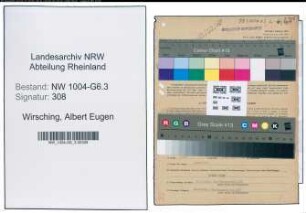 Entnazifizierung Albert Eugen Wirsching , geb. 29.07.1911 (Chemiker)