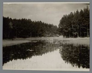 Bei Erkner. Ansicht des Heidereuter See´s, einem bei Anglern beliebten Gewässer