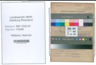 Entnazifizierung Heinrich Wieland , geb. 23.09.1891 (Schaffner)
