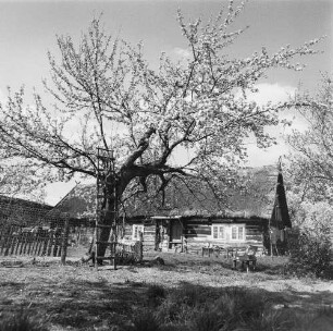 Spreewald. Historisches Wohnhaus