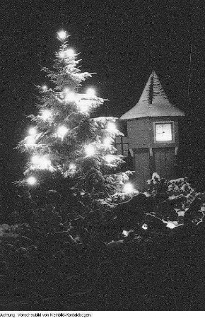 Winter, Landschaften, Max Hille beim Skilauf, beleuchteter Weihnachtsbaum, Januar-Februar 1956