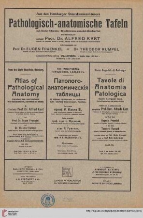 Heft 19: Pathologisch-anatomische Tafeln