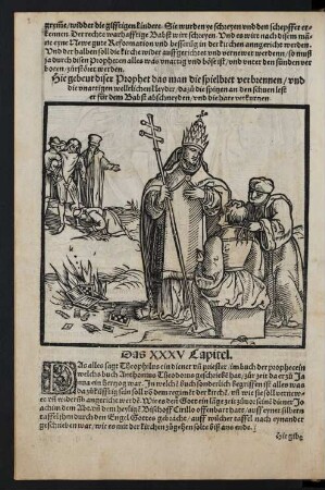 Das XXXV Capitel.