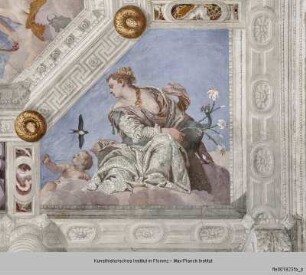 Villa Barbaro; Stanza dell'Olimpo : Der Olymp, die vier Elemente und Allegorien