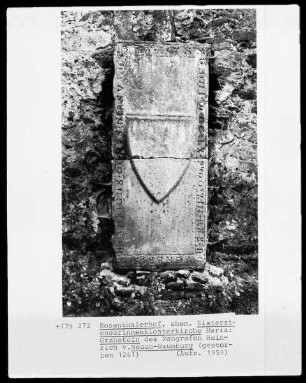 Grabstein des Raugrafen Heinrich von Neuen-Baumburg